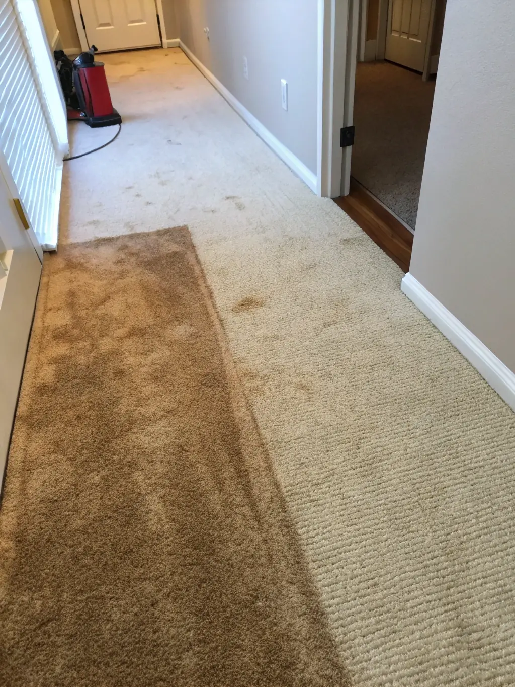 A before-and-after shot showing a stained fabric being treated with Scentology's stain remover, demonstrating its effectiveness.